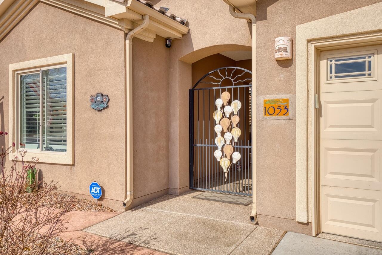 1053 EVENING PRIMROSE