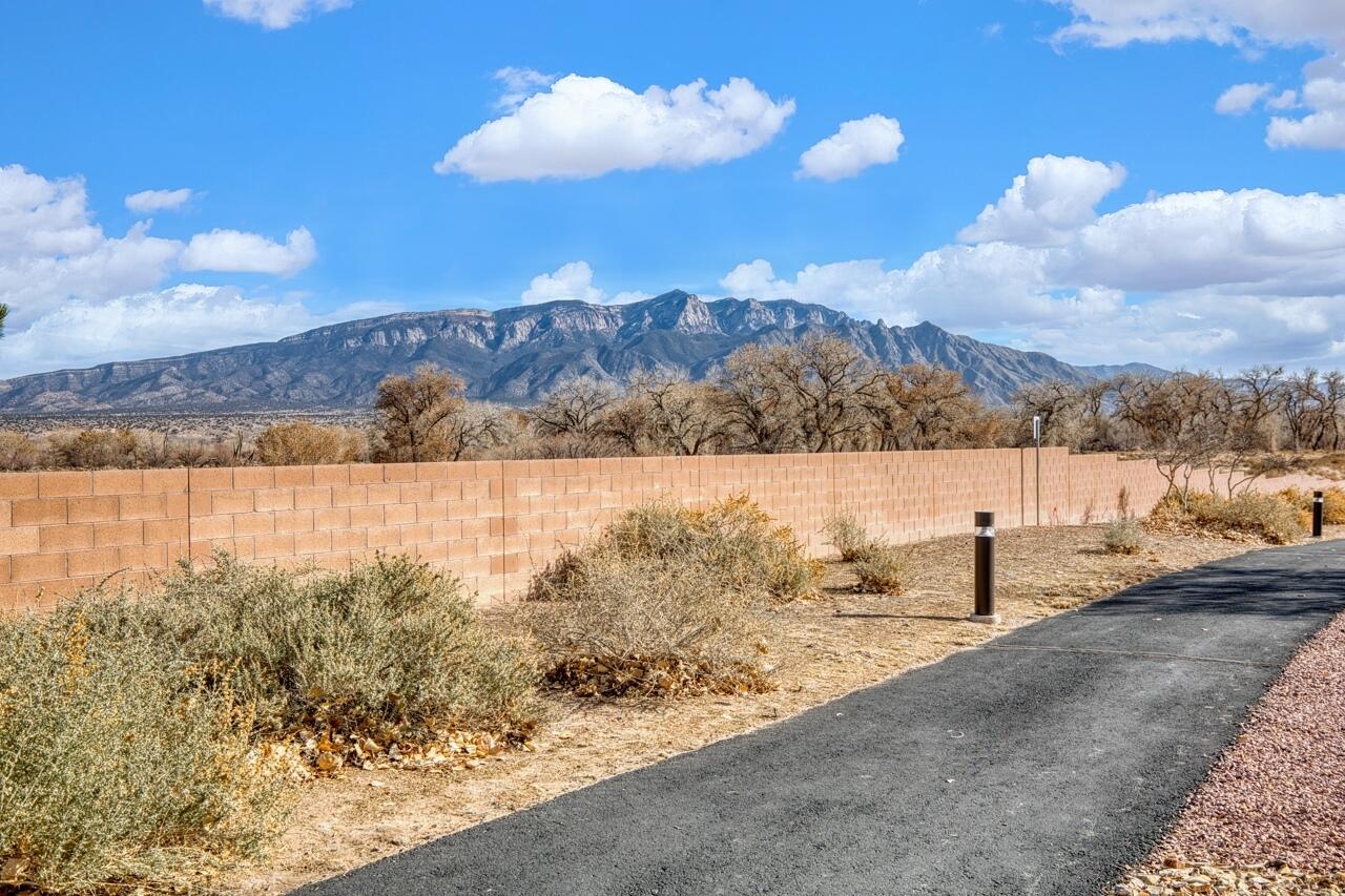 1053 EVENING PRIMROSE