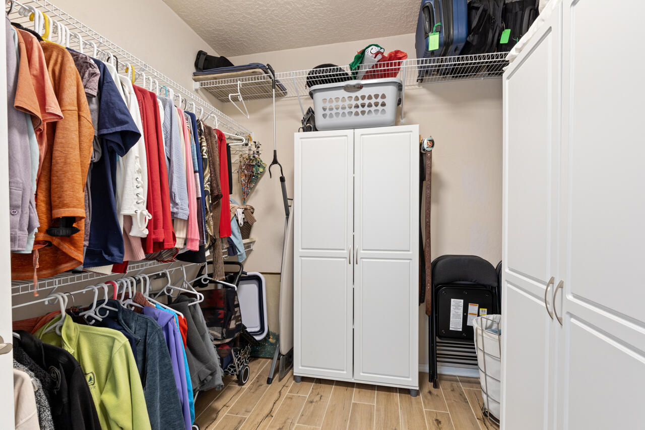 1053 EVENING PRIMROSE