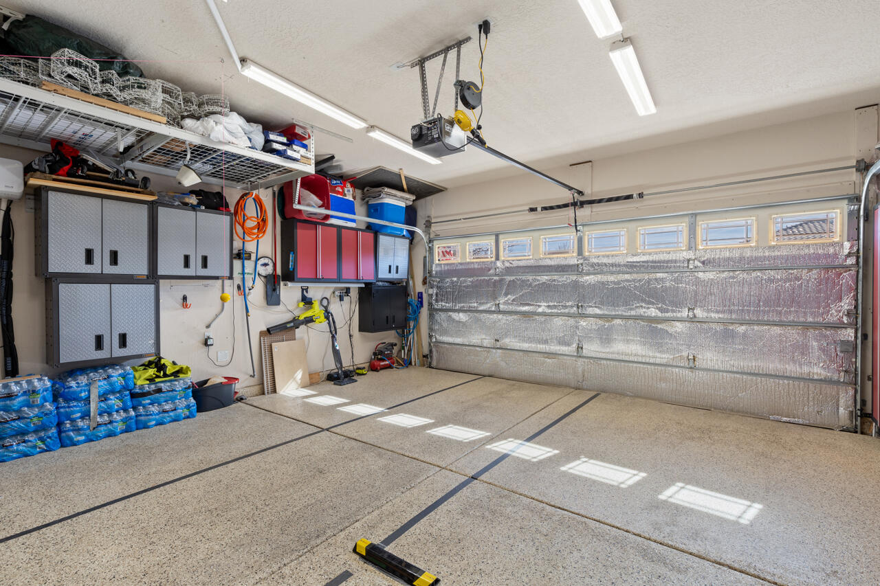 1053 EVENING PRIMROSE