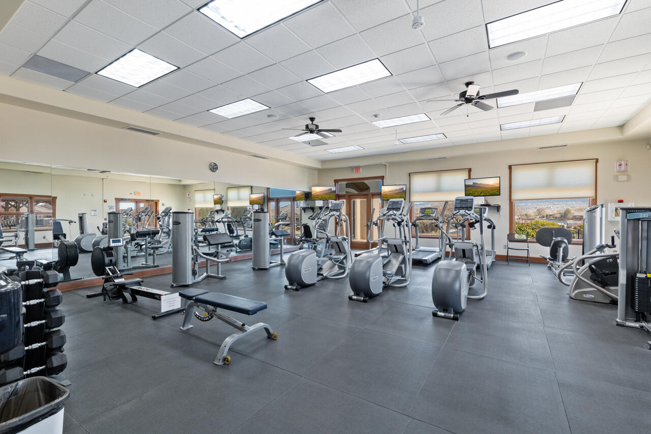 1053 EVENING PRIMROSE