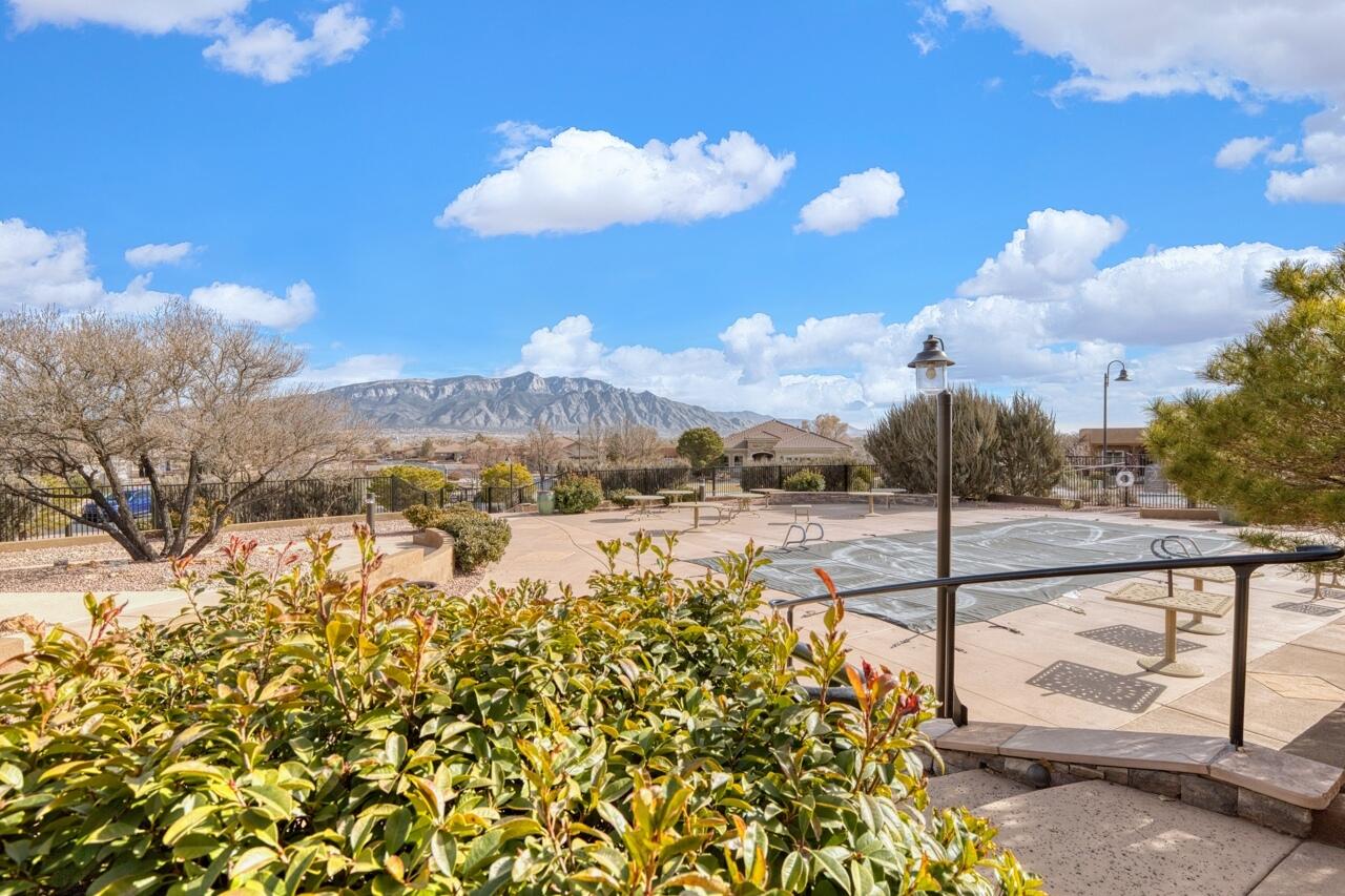 1053 EVENING PRIMROSE