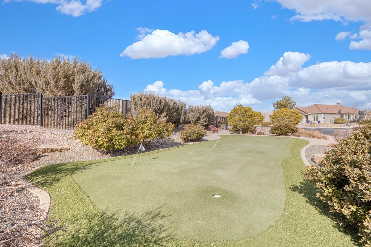 1053 EVENING PRIMROSE