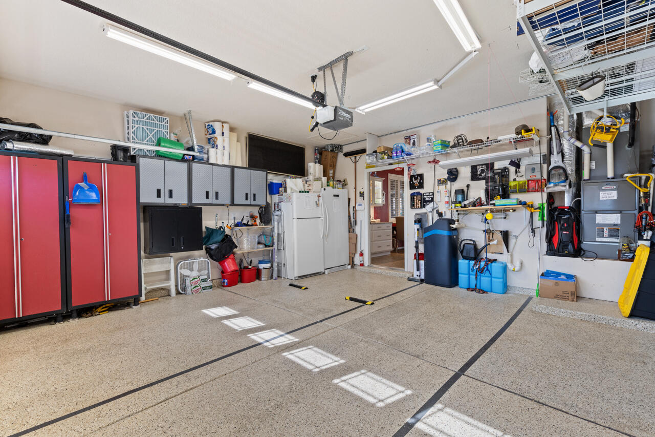 1053 EVENING PRIMROSE