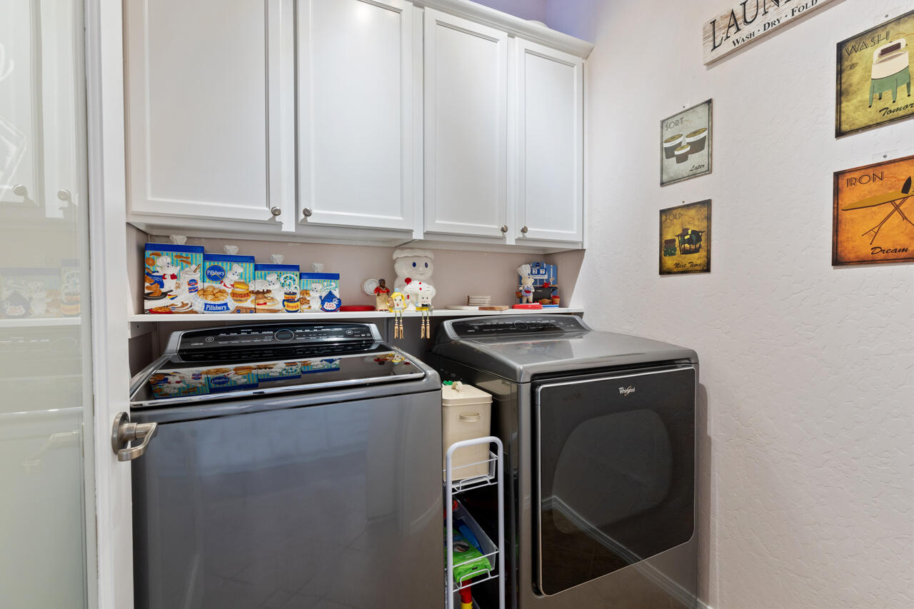 1053 EVENING PRIMROSE