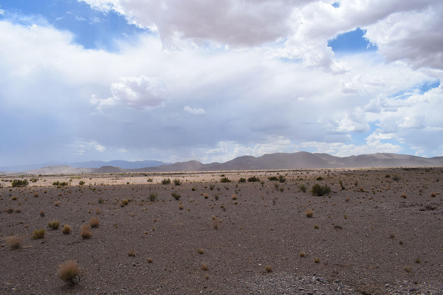 Lot 326 Desert Mesa Road