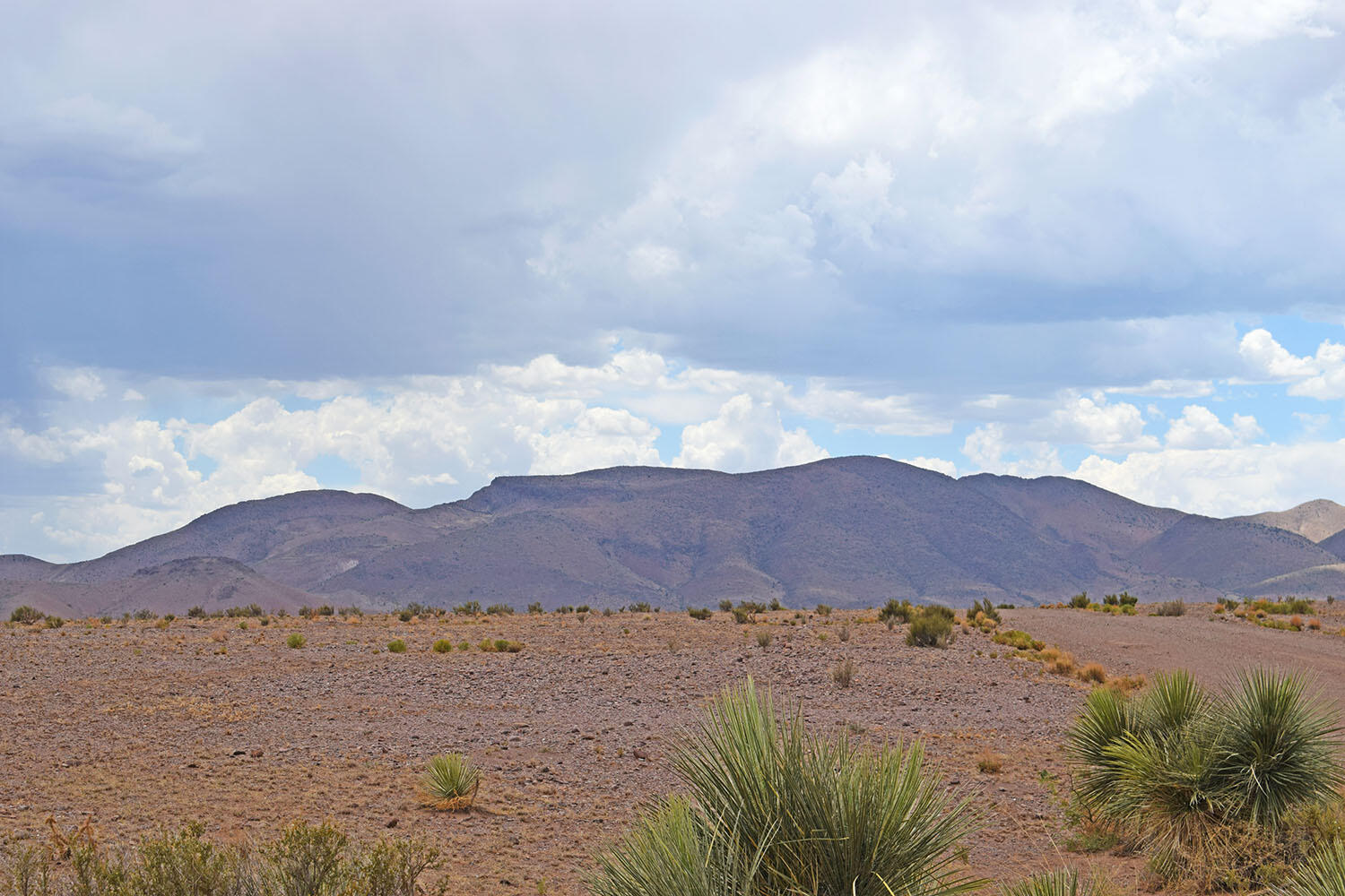 Lot 326 Desert Mesa Road