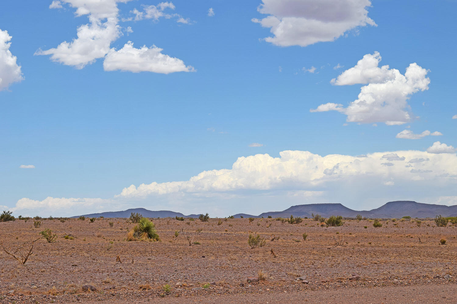 Lot 326 Desert Mesa Road
