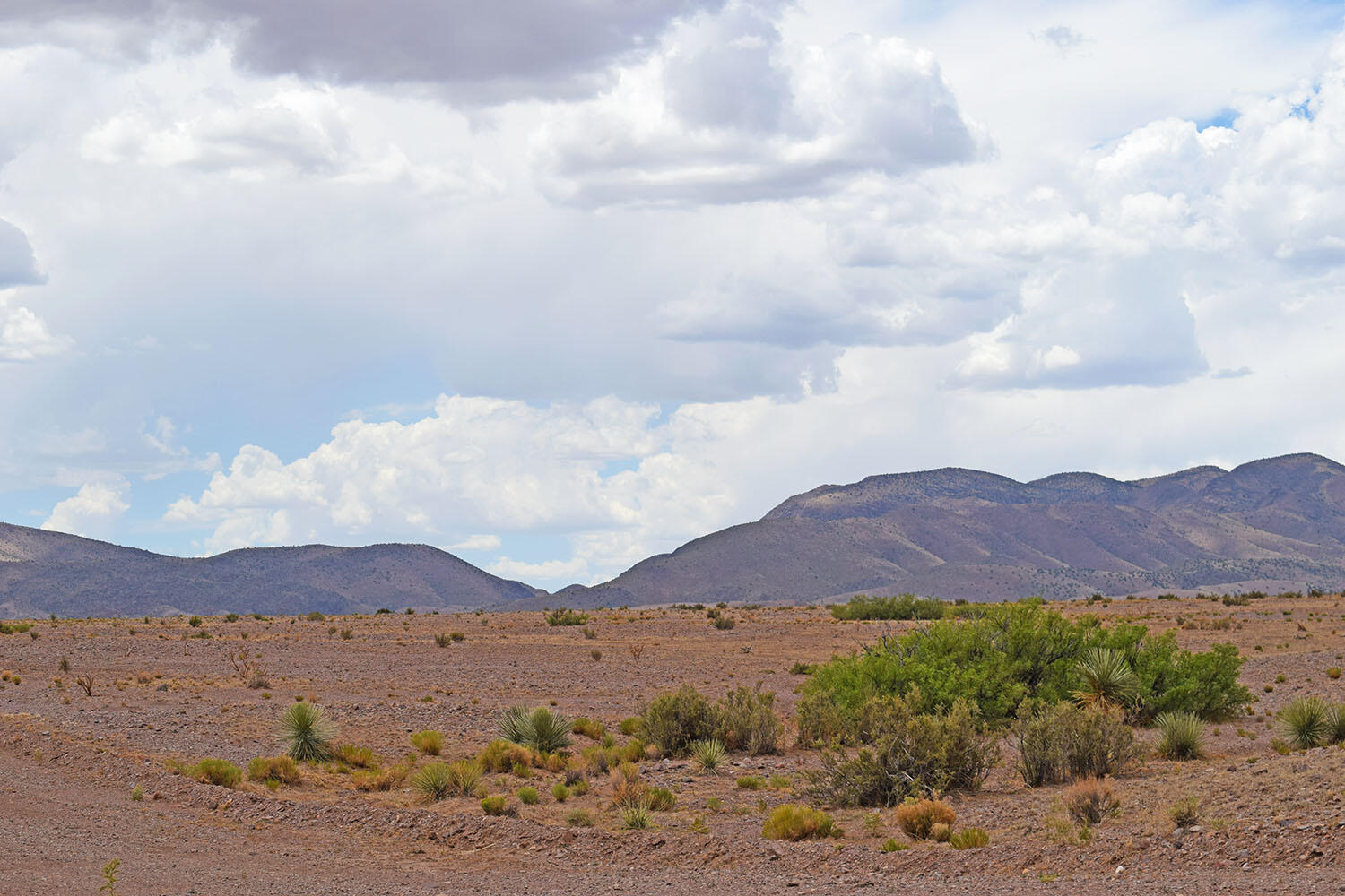 Lot 326 Desert Mesa Road