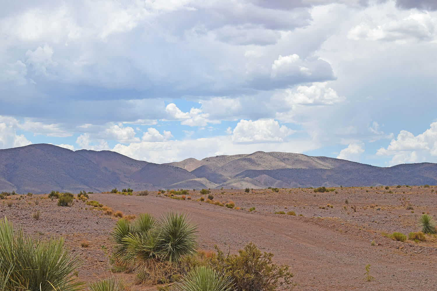 Lot 326 Desert Mesa Road