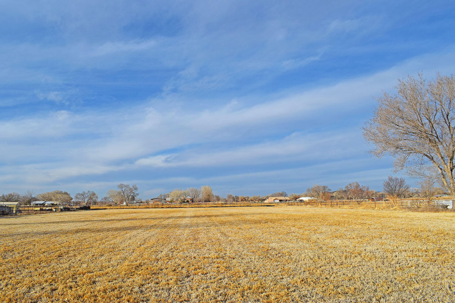 Lot 8 Benito Lane