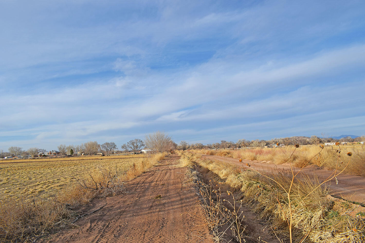 Lot 8 Benito Lane