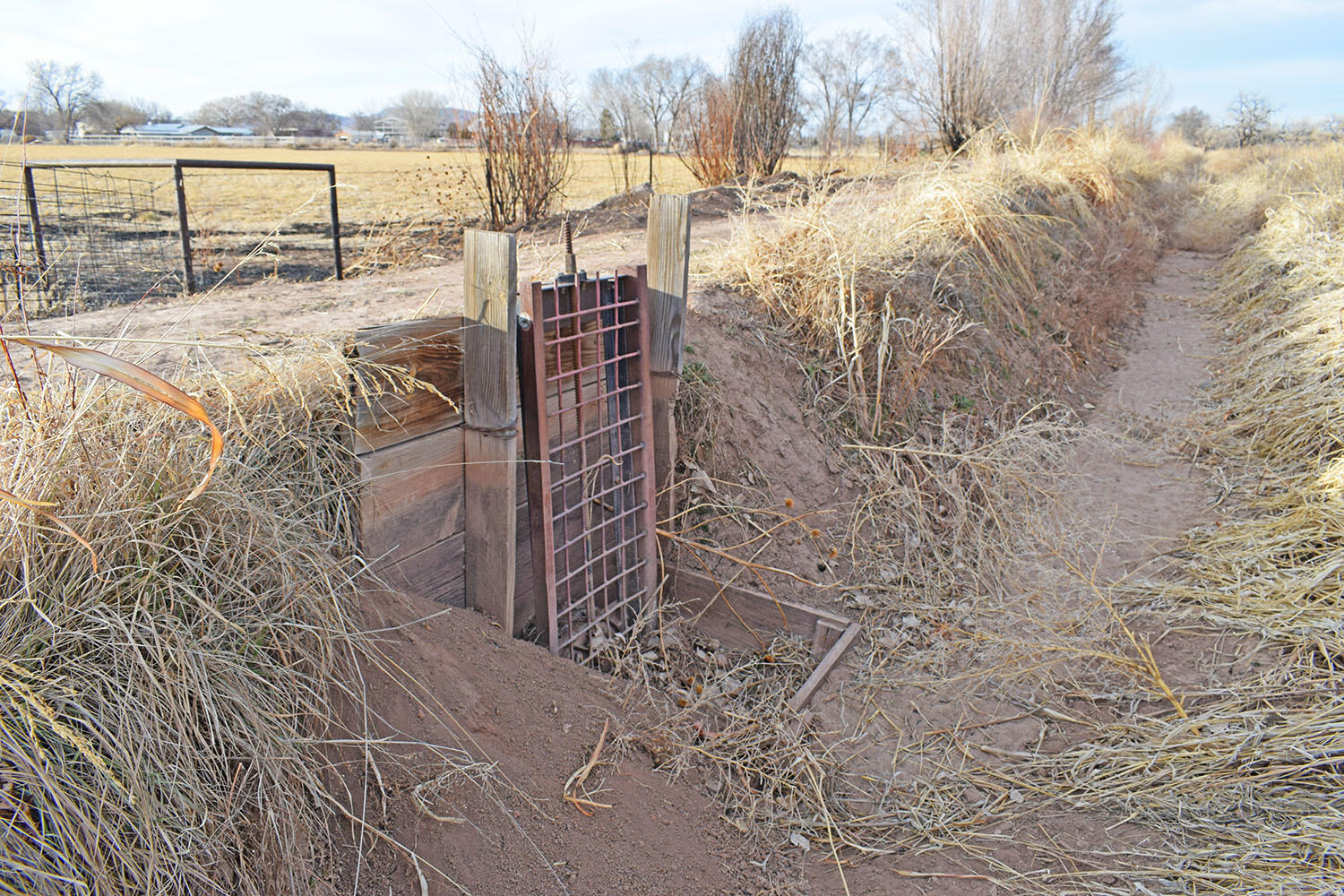 Lot 8 Benito Lane