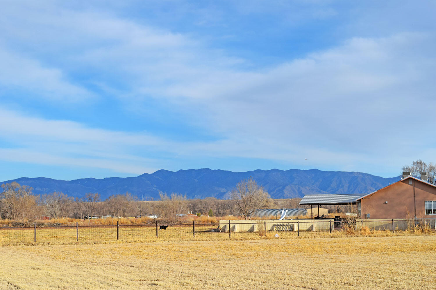 Lot 8 Benito Lane