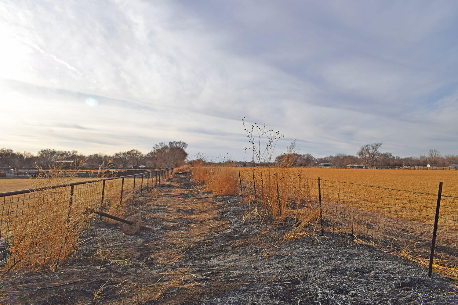 Lot 8 Benito Lane