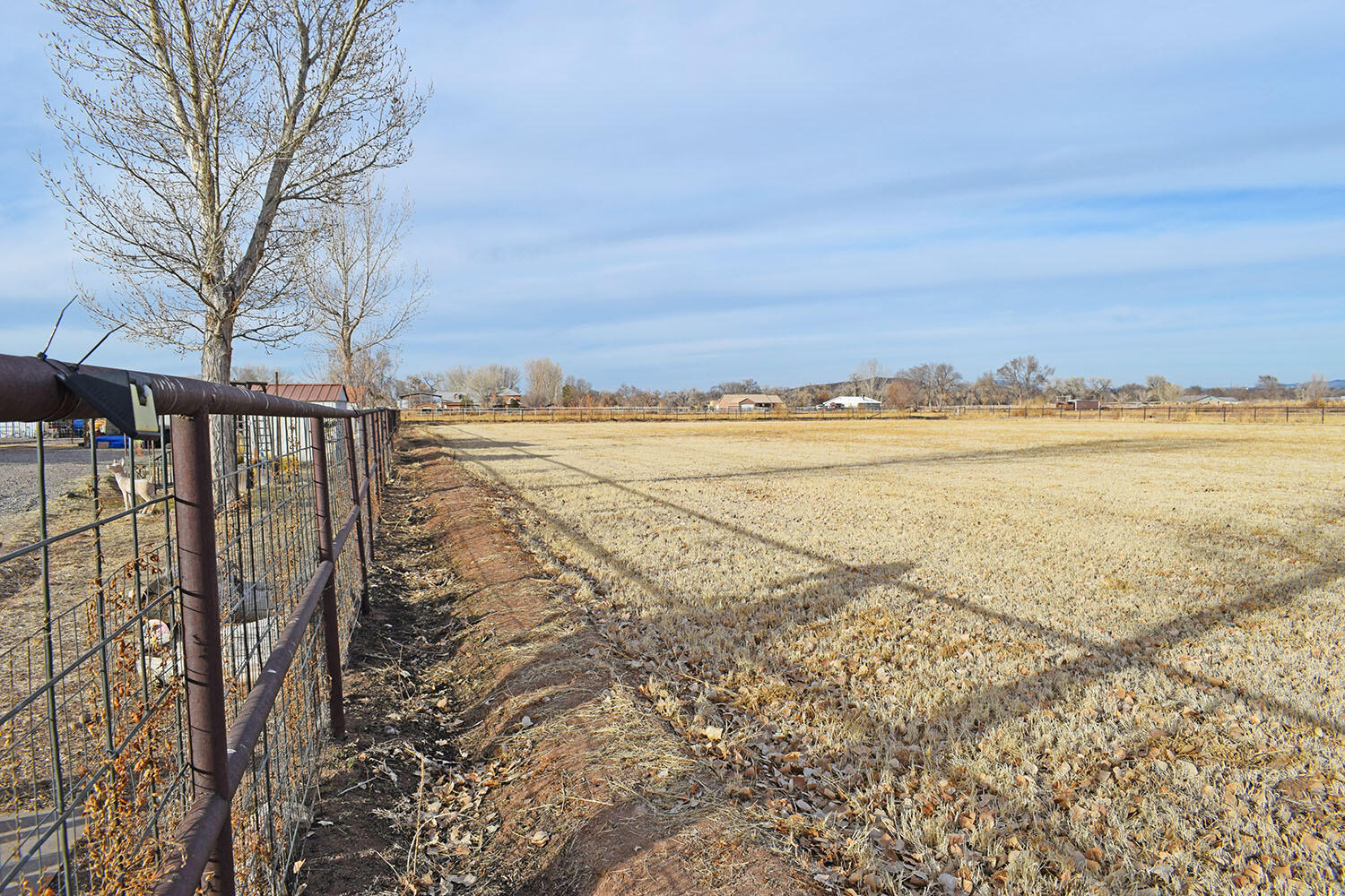 Lot 8 Benito Lane