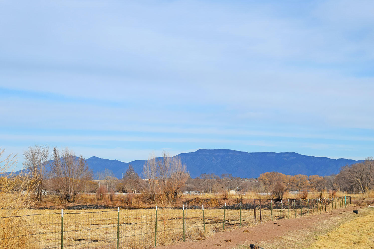 Lot 8 Benito Lane
