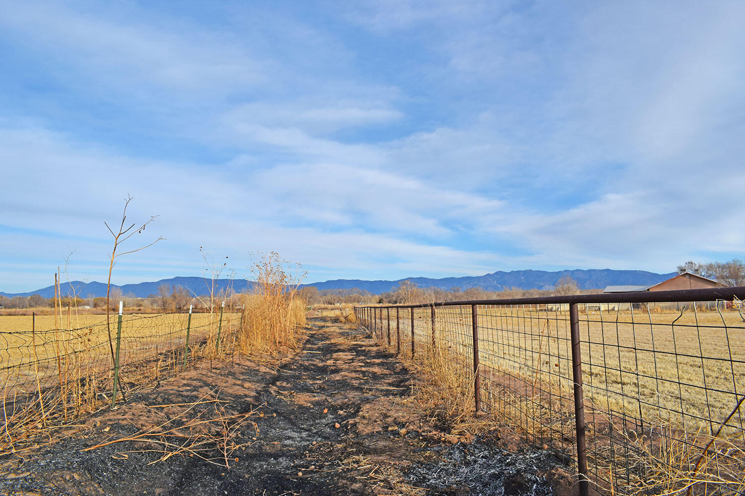 Lot 8 Benito Lane