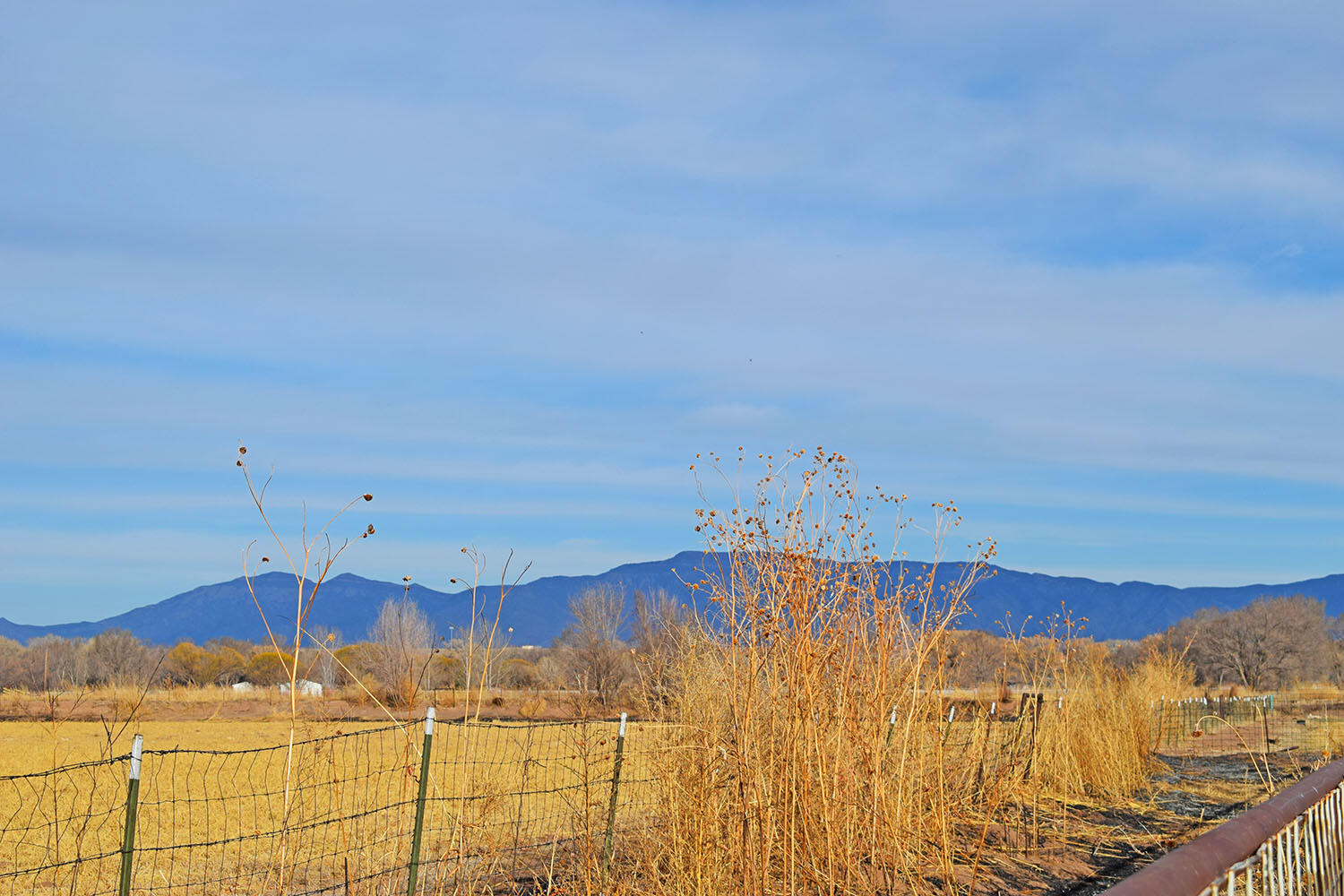 Lot 8 Benito Lane