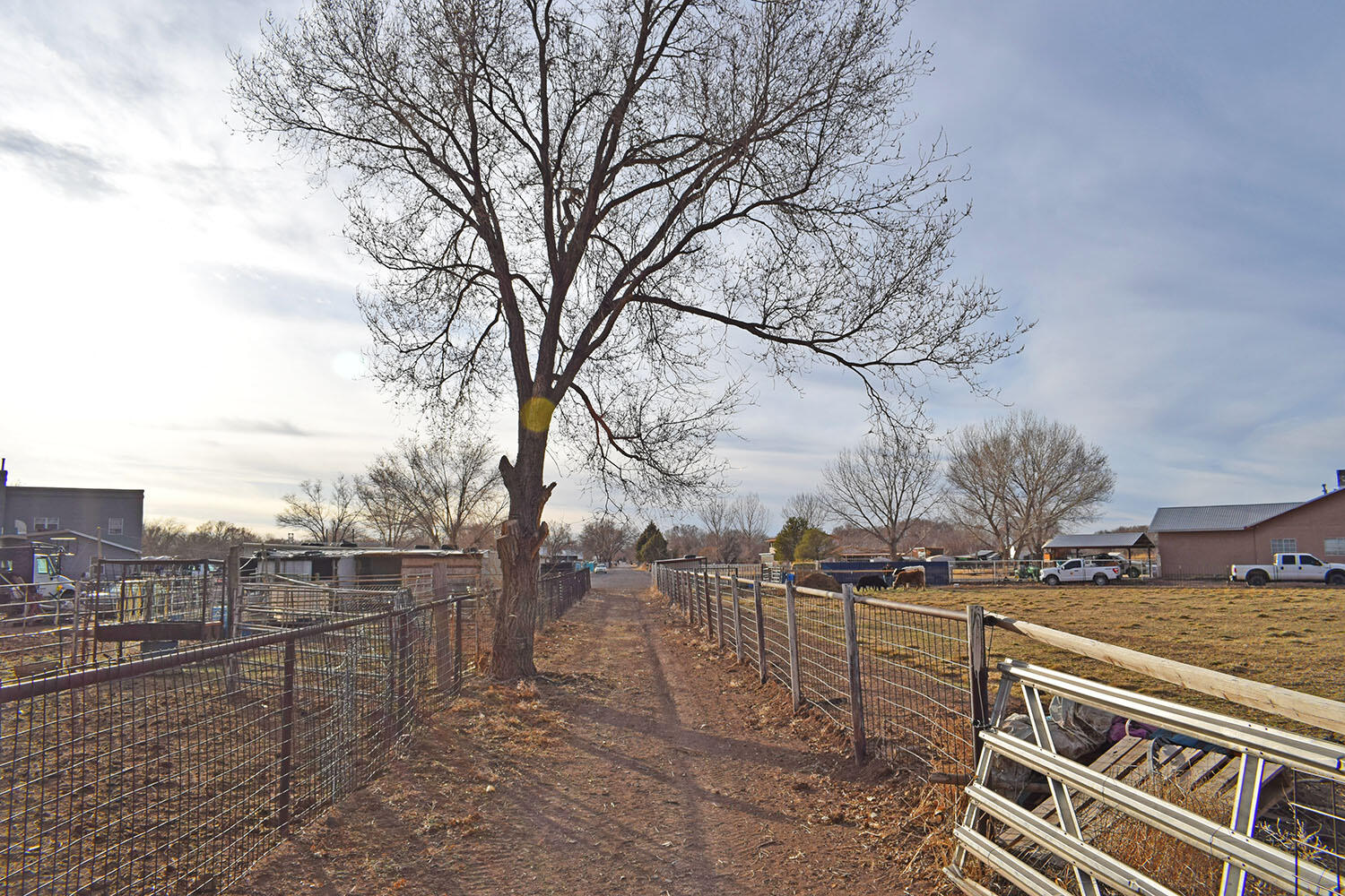 Lot 8 Benito Lane
