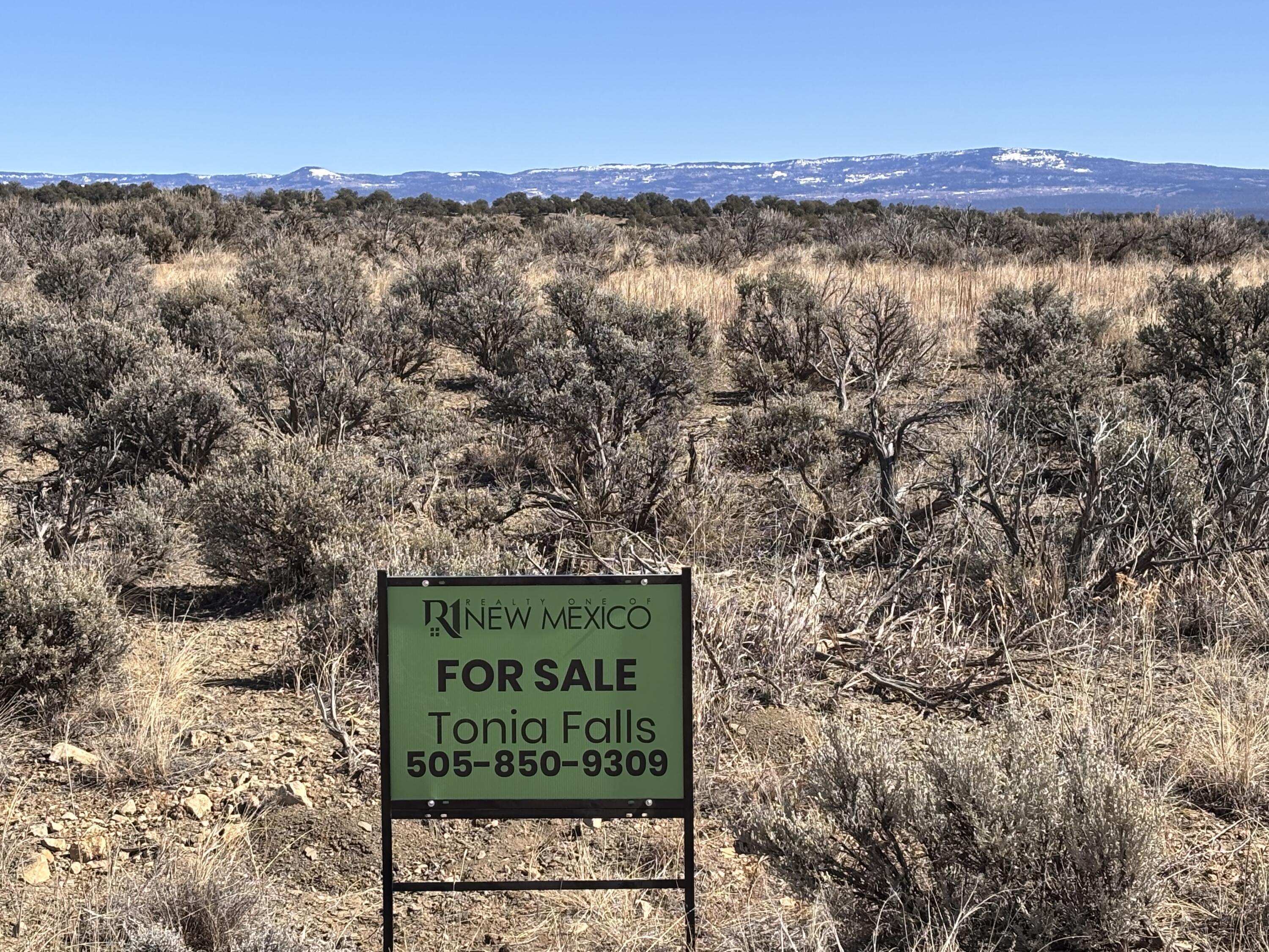 Unit 6 Lot 66 El Vado Lake Subd.