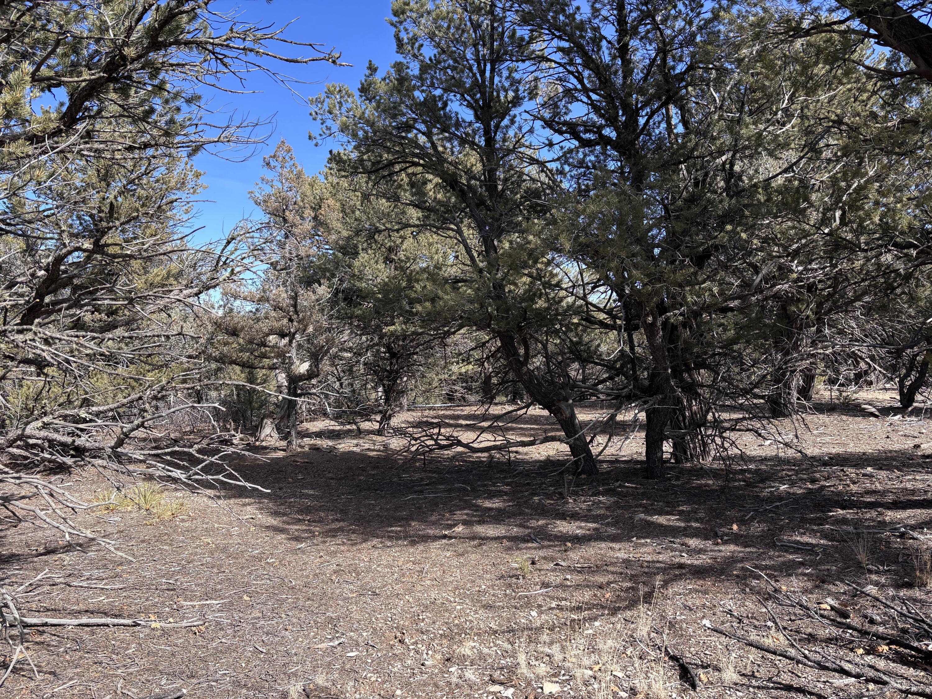 Unit 1 Tract 117 El Vado Lake Subd.