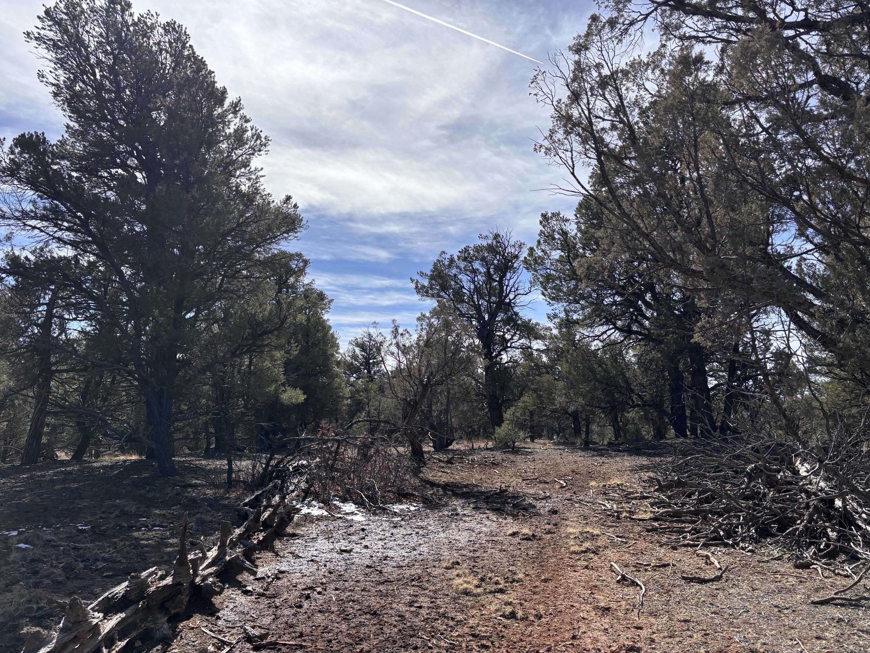 Unit 1 Tract 117 El Vado Lake Subd.