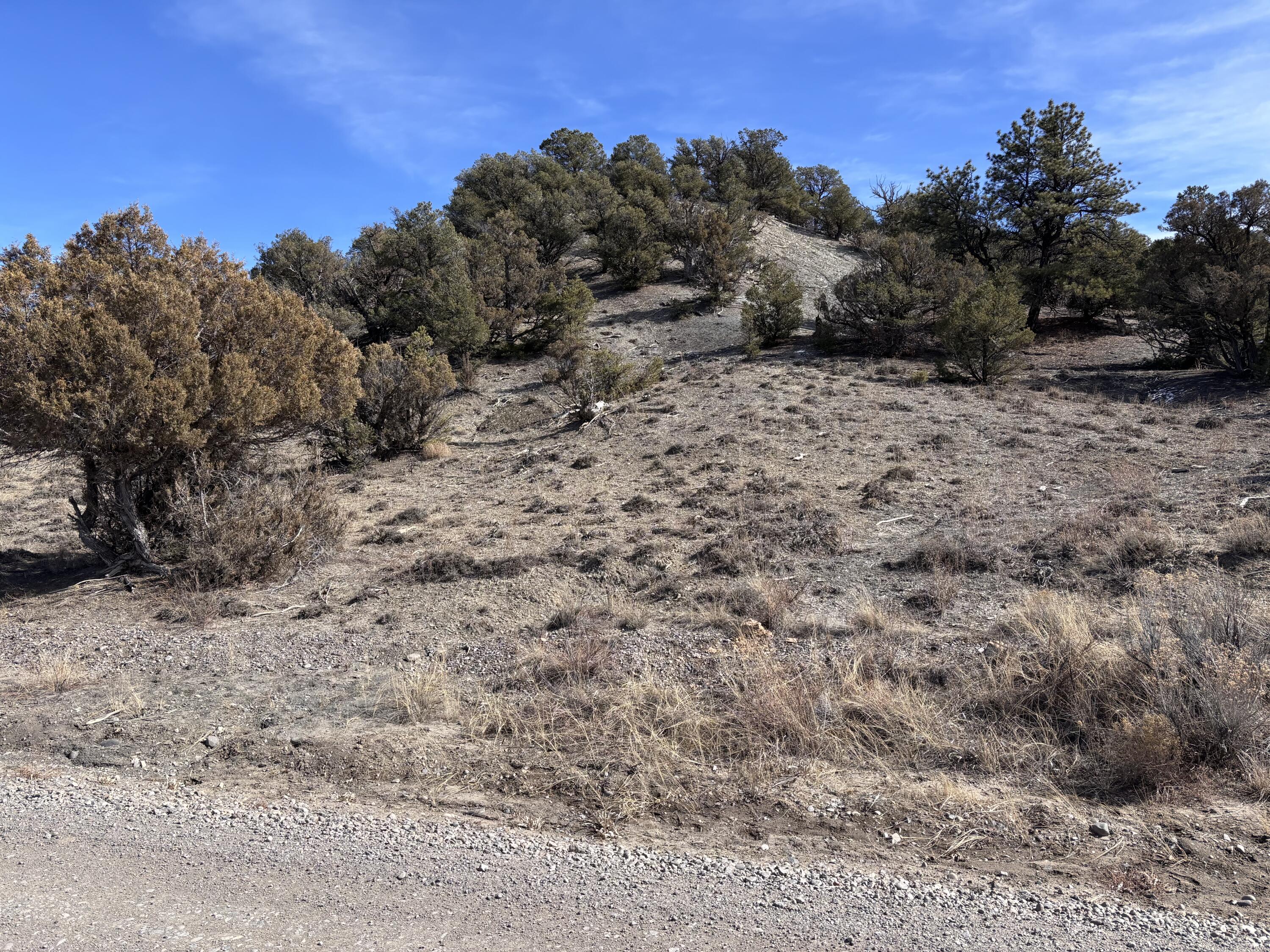 Unit 1 Tract 117 El Vado Lake Subd.