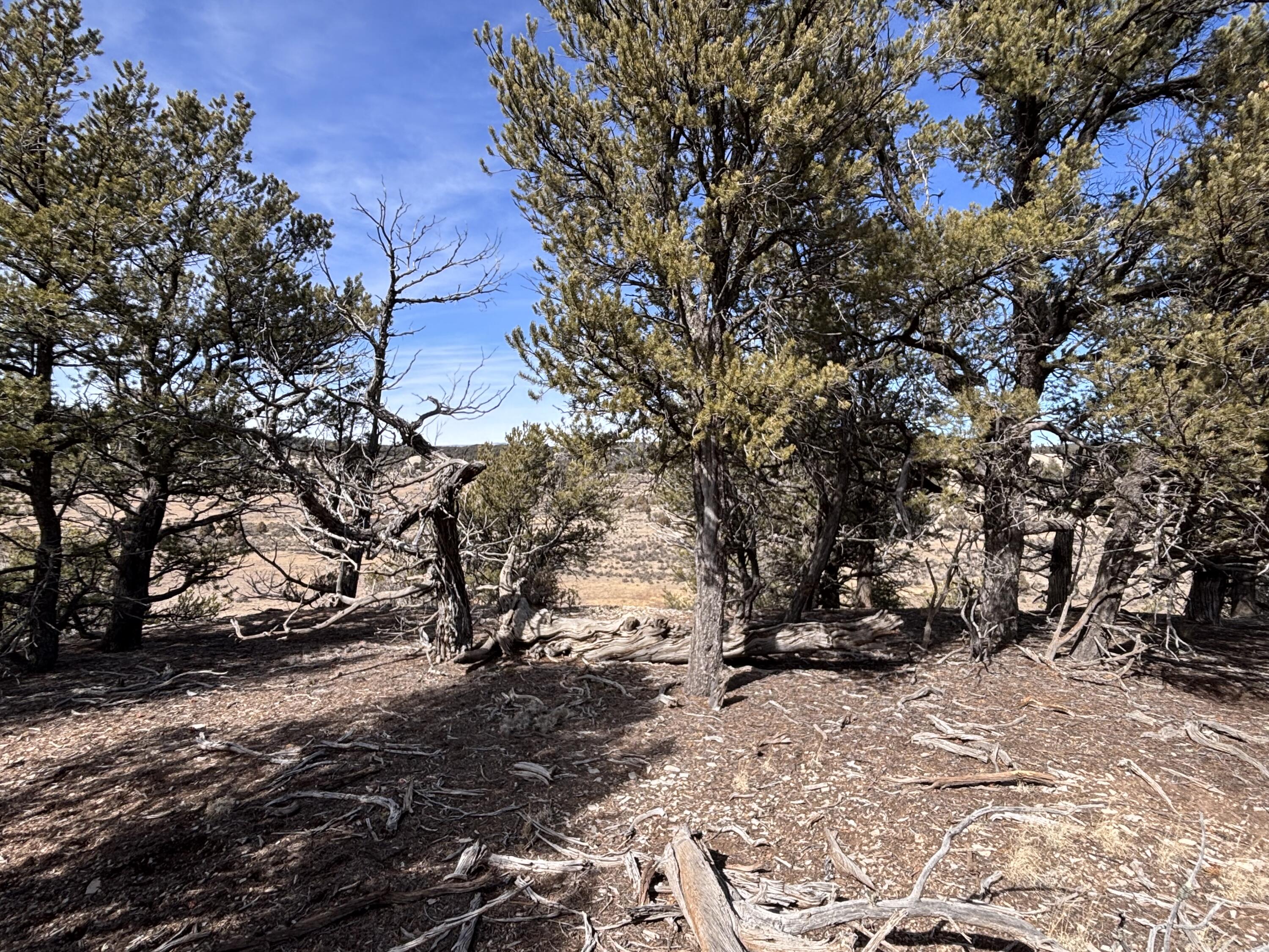 Unit 1 Tract 117 El Vado Lake Subd.