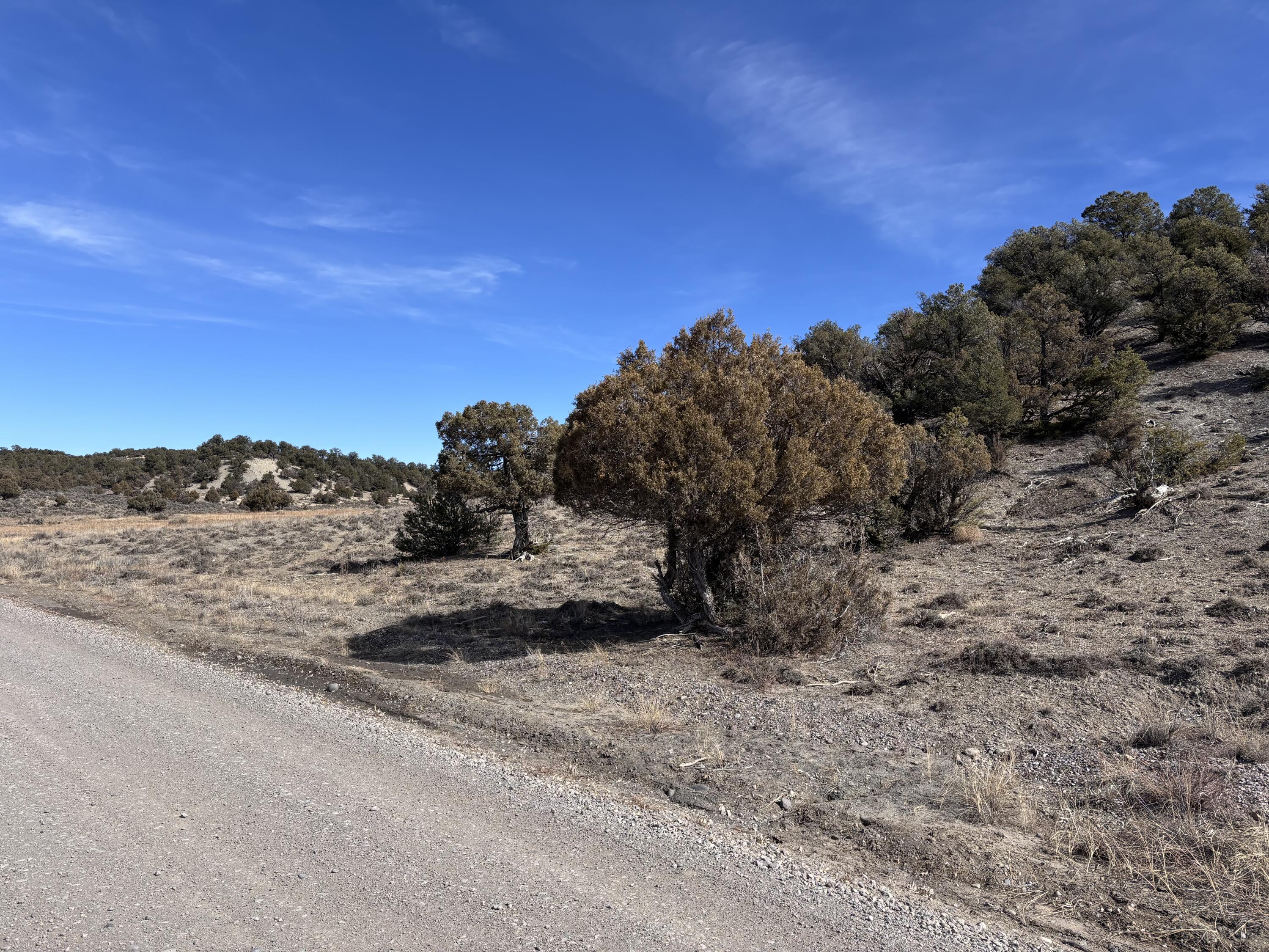 Unit 1 Tract 117 El Vado Lake Subd.