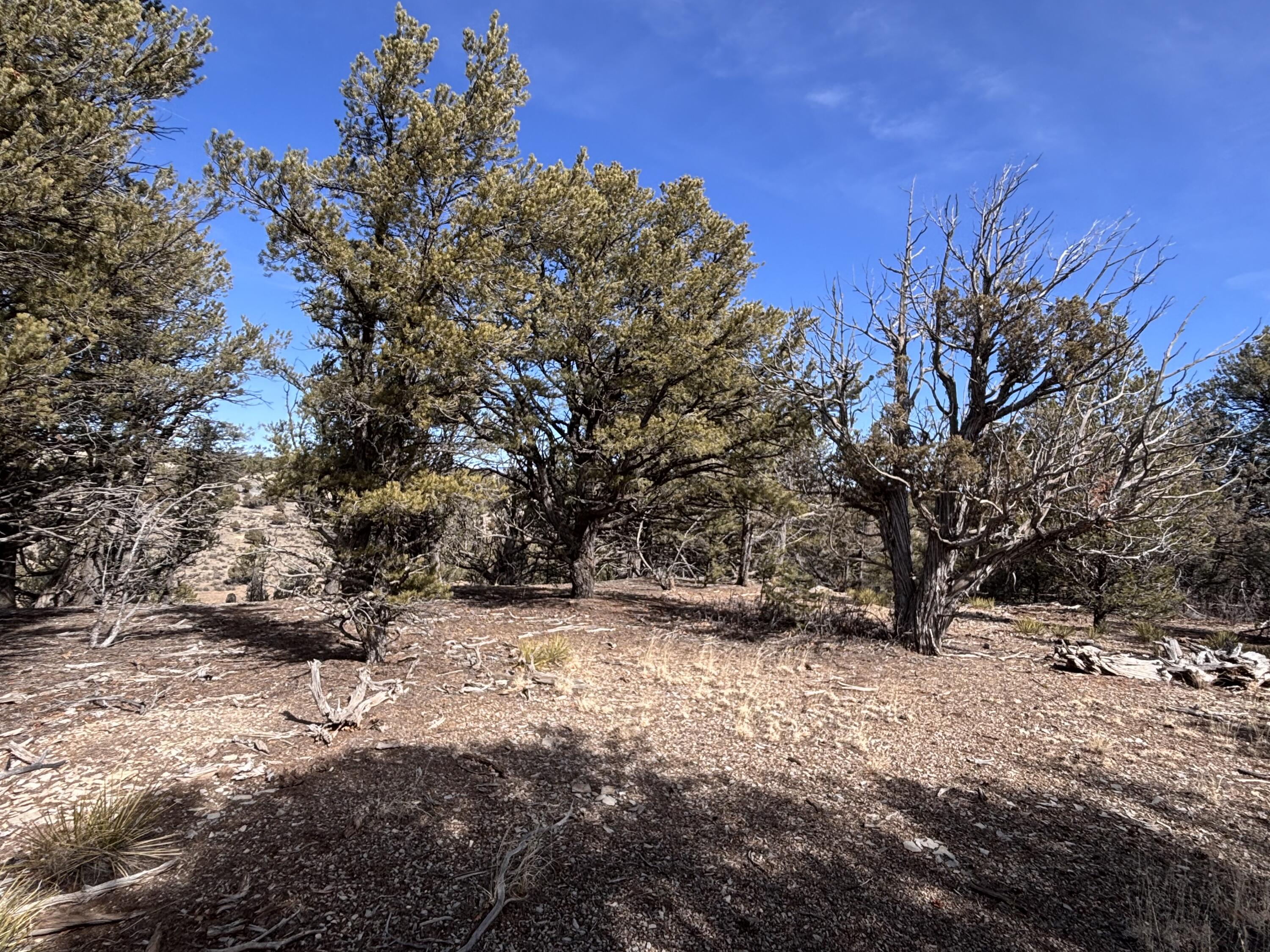 Unit 1 Tract 117 El Vado Lake Subd.