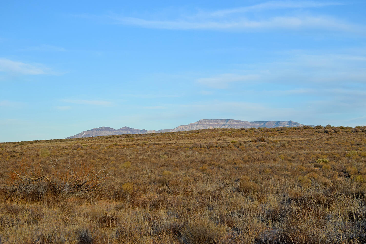 Lot 3 Rio Del Oro 63