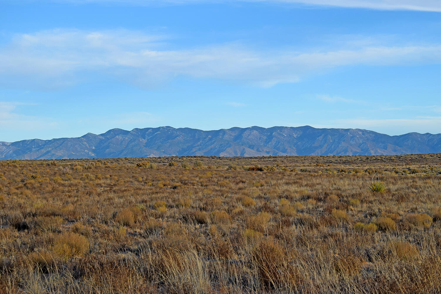 Lot 3 Rio Del Oro 63