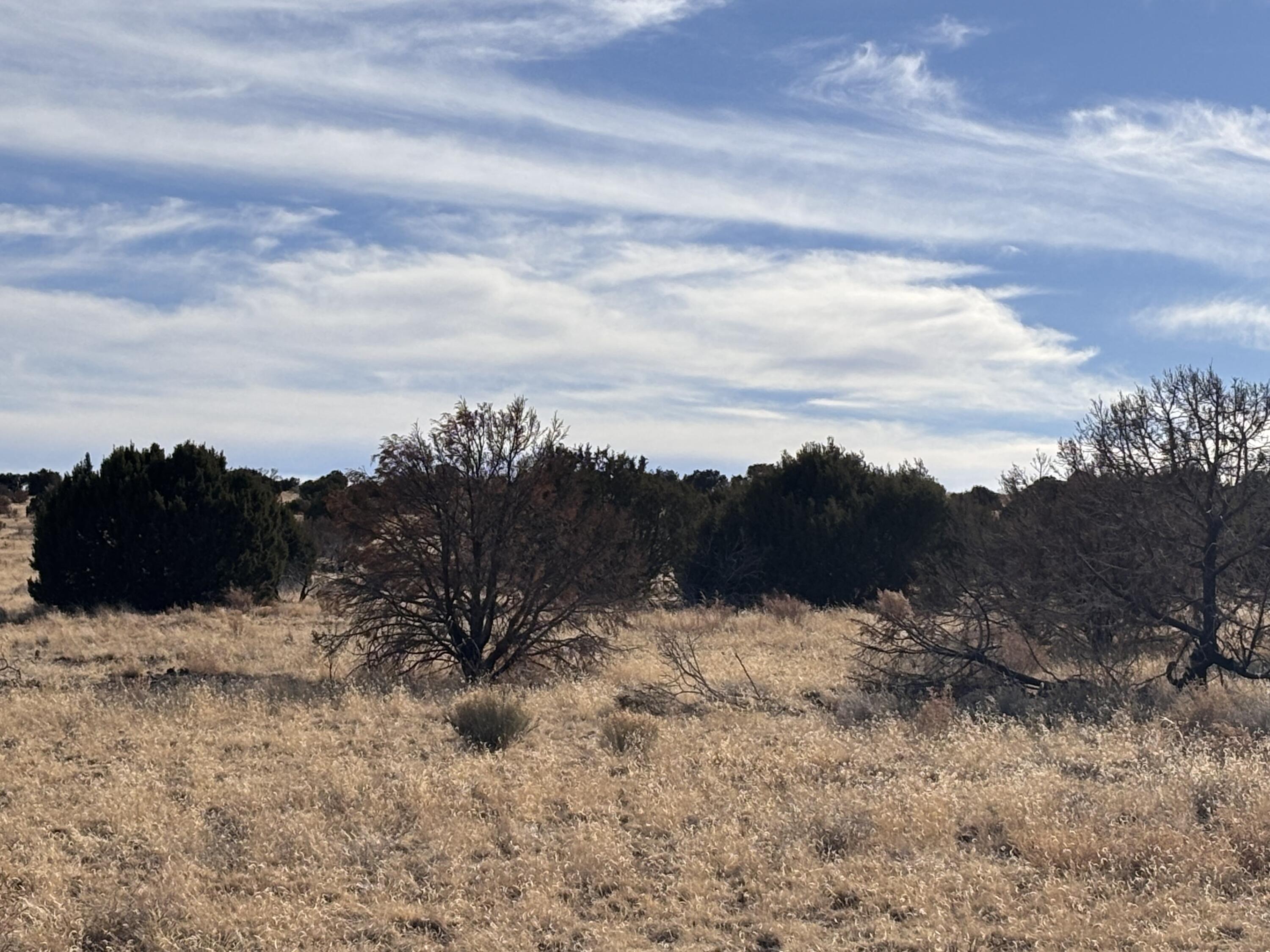 Lot 28 Pinon Springs