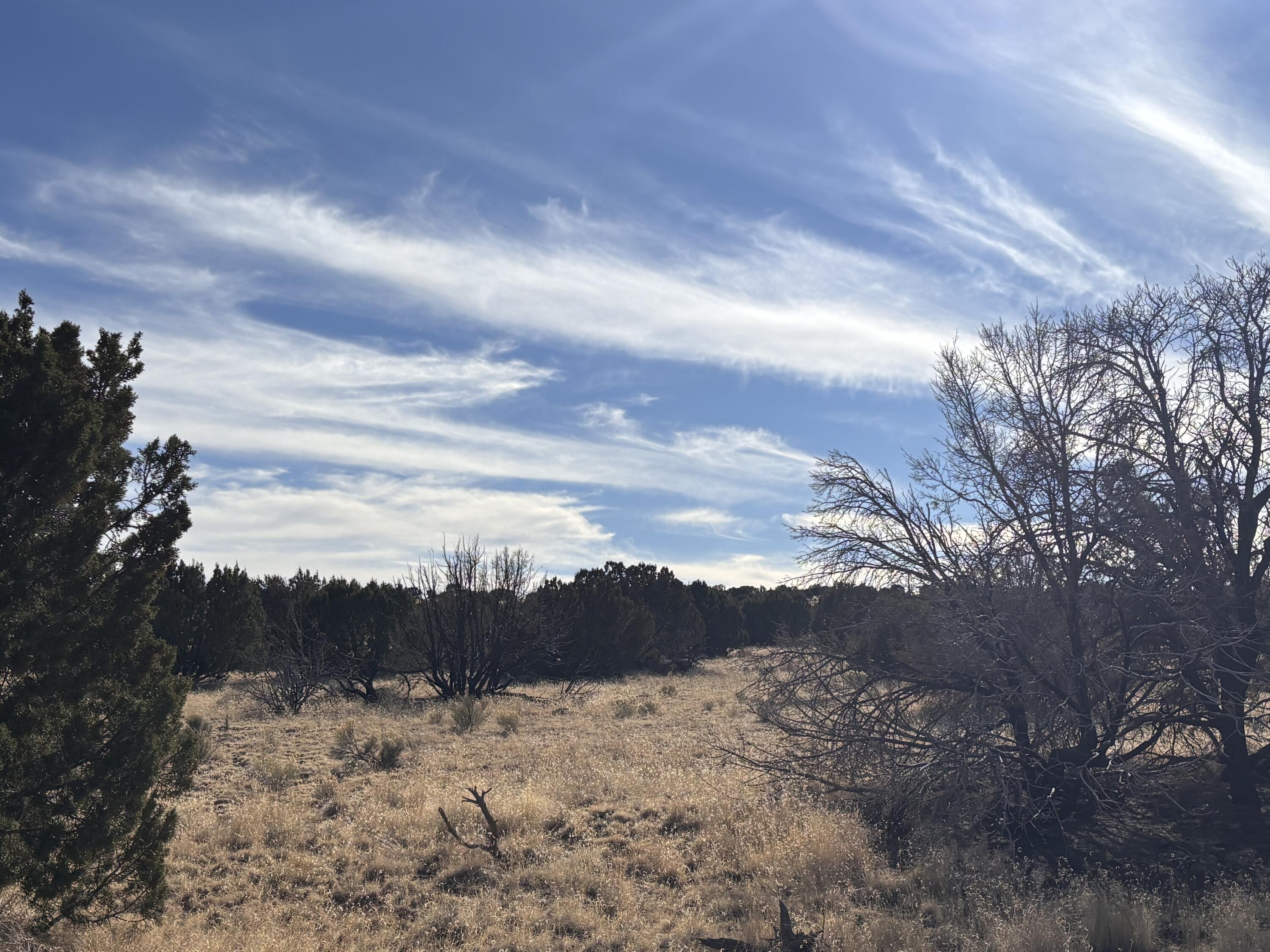 Lot 28 Pinon Springs