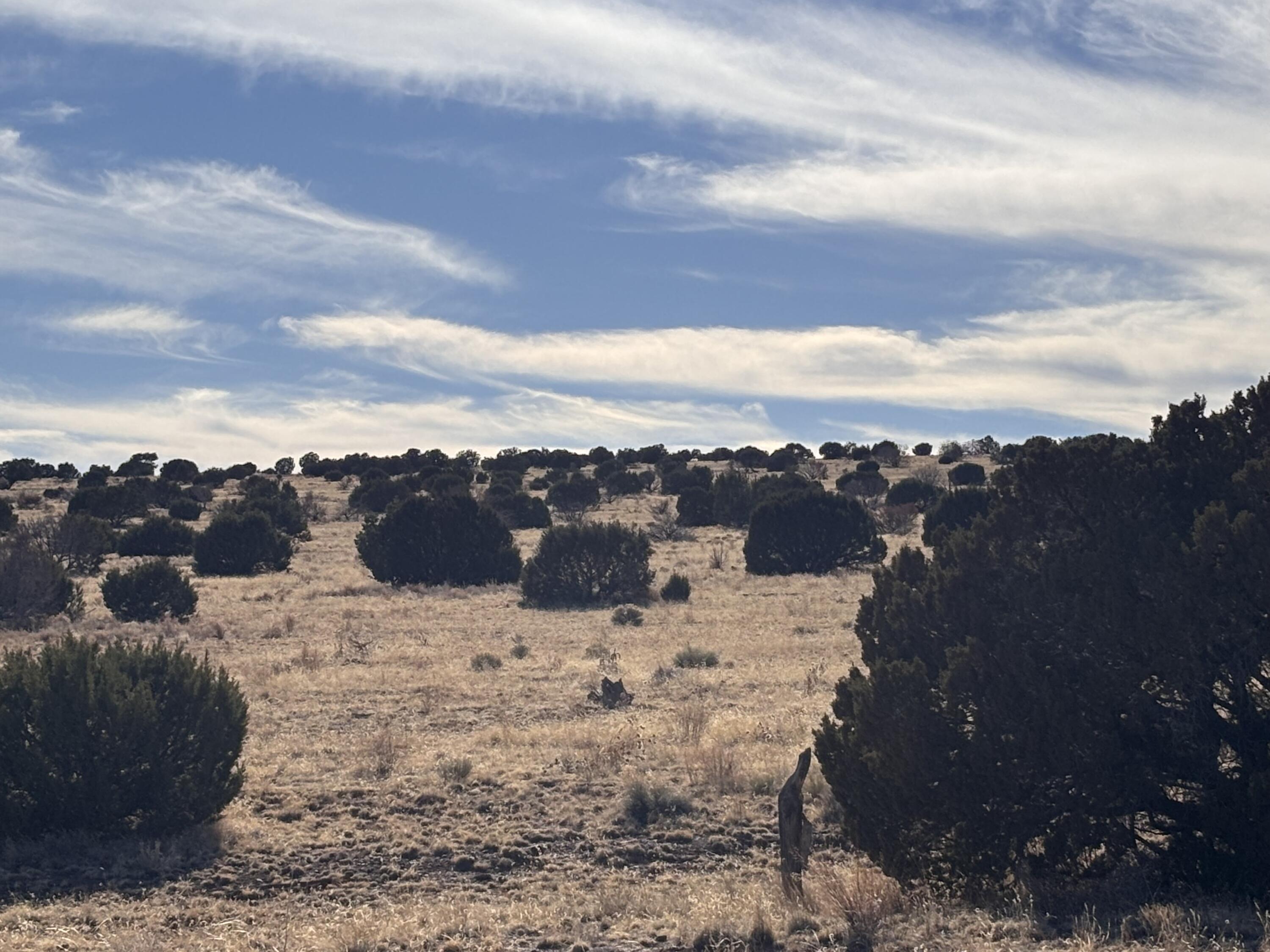 Lot 28 Pinon Springs