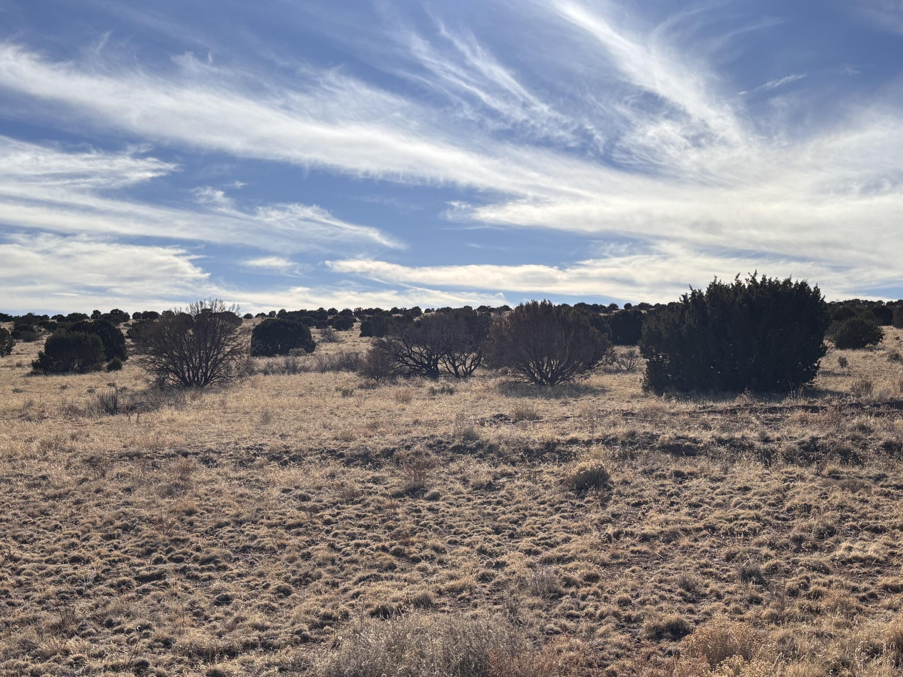 Lot 28 Pinon Springs