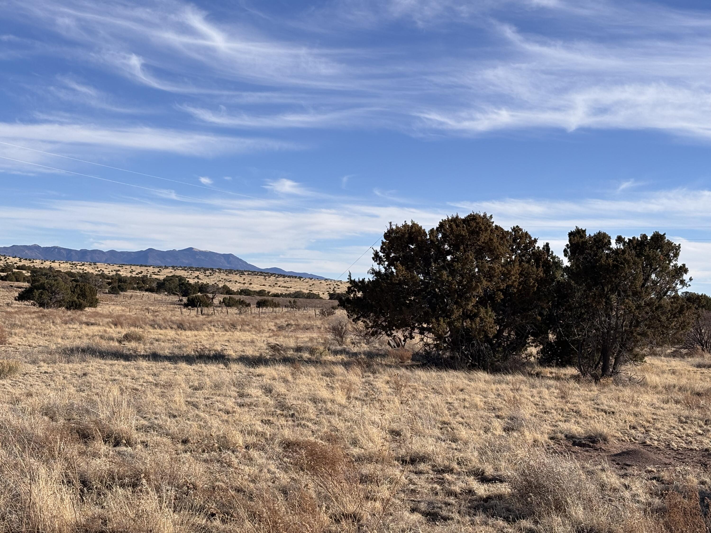 Lot 28 Pinon Springs