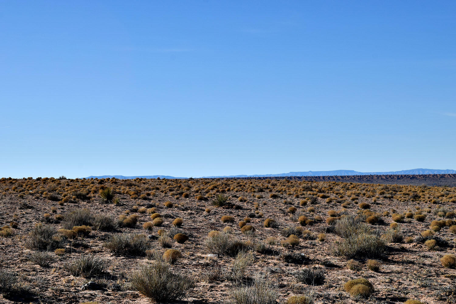 Lot 10 Parras Avenue