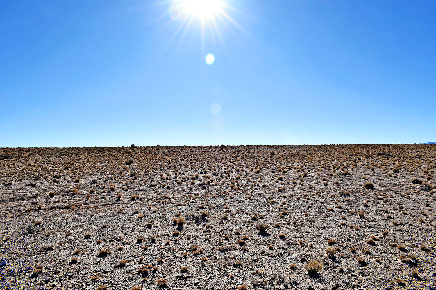 Lot 10 Parras Avenue