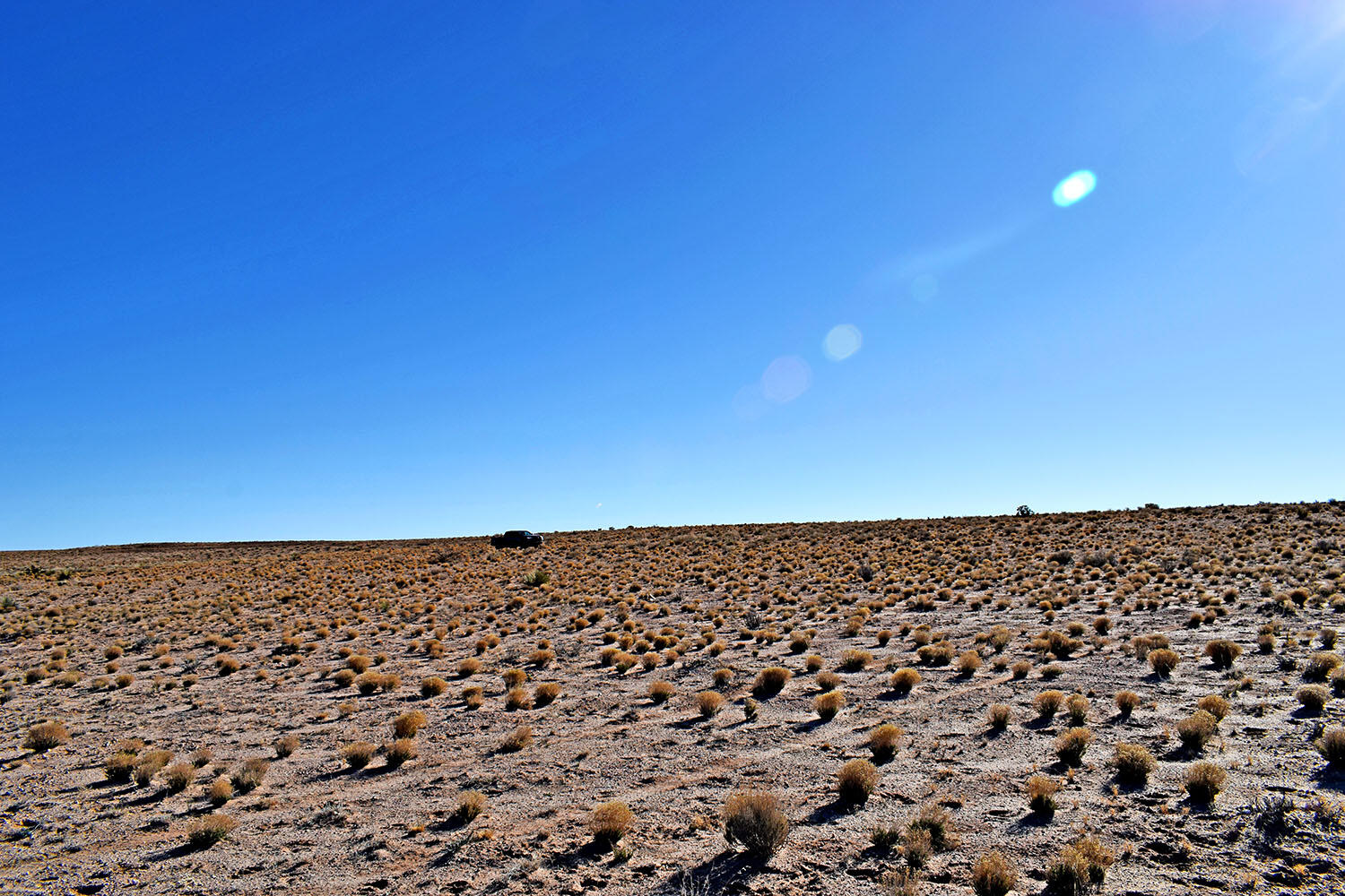 Lot 10 Parras Avenue