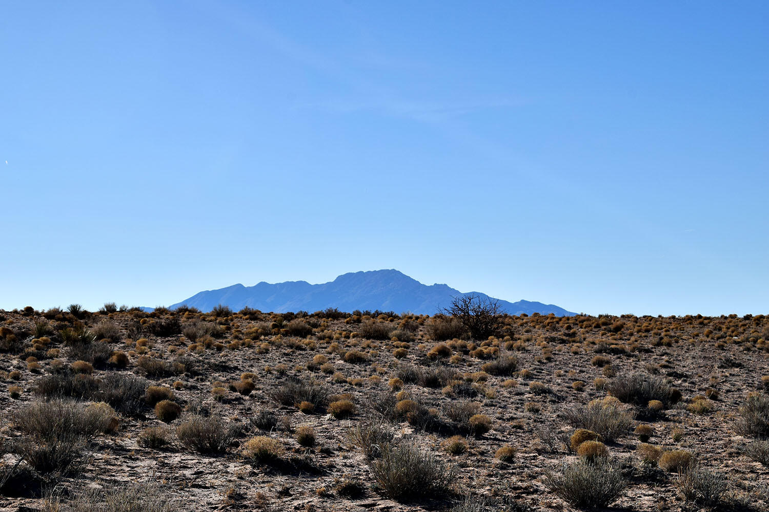 Lot 10 Parras Avenue