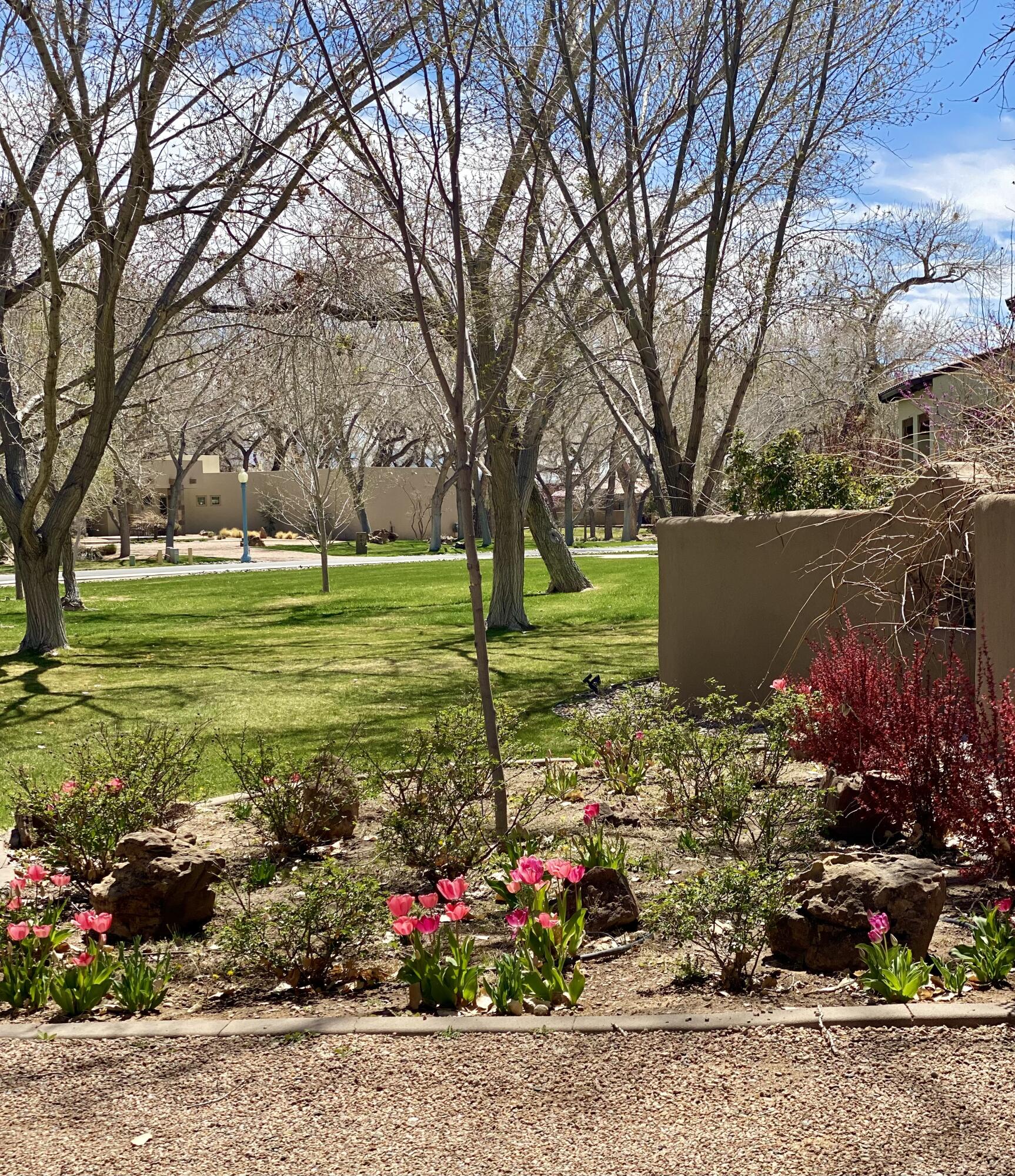 903 CAMINO VISTA RIO