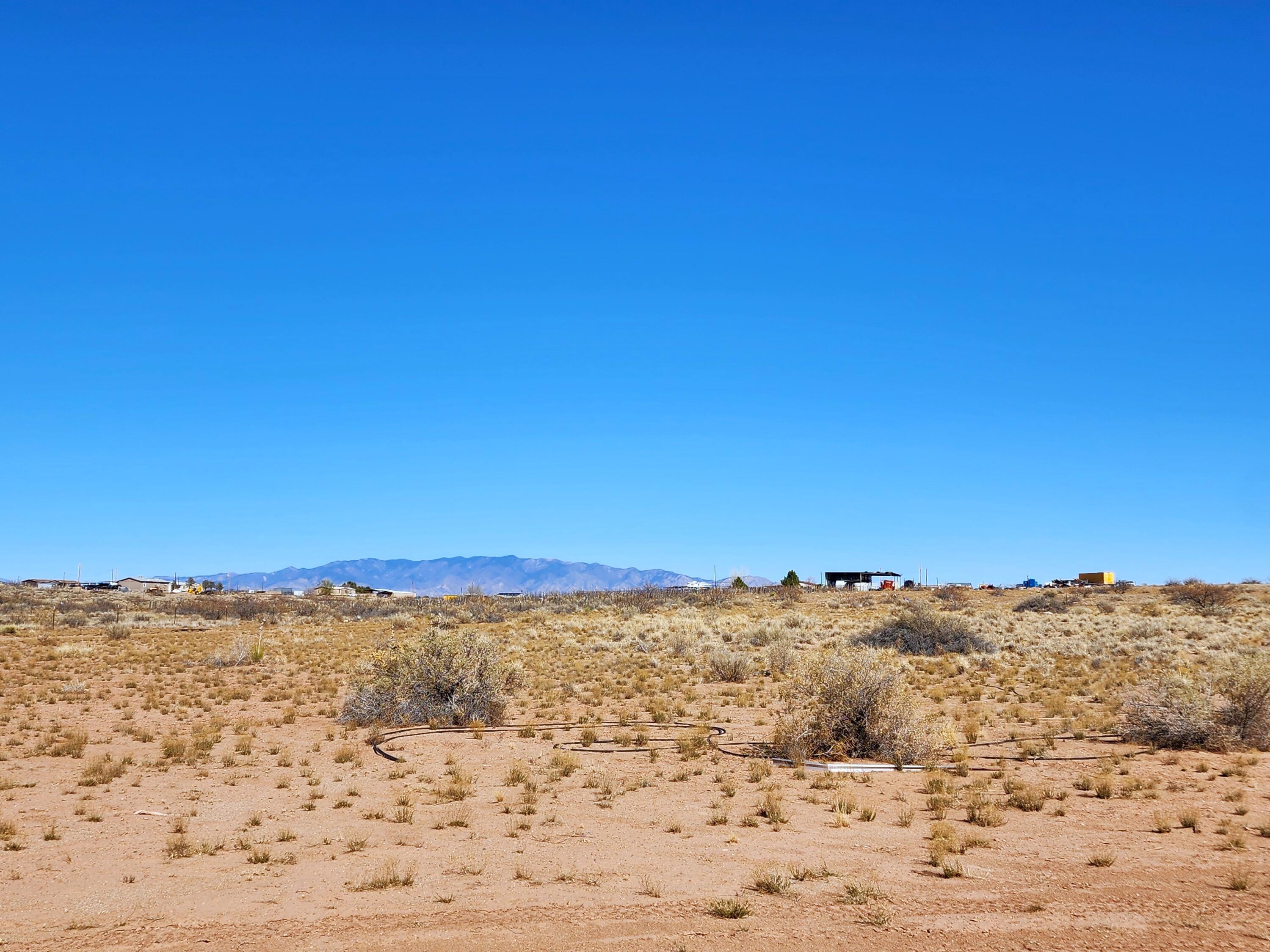 Lot 53