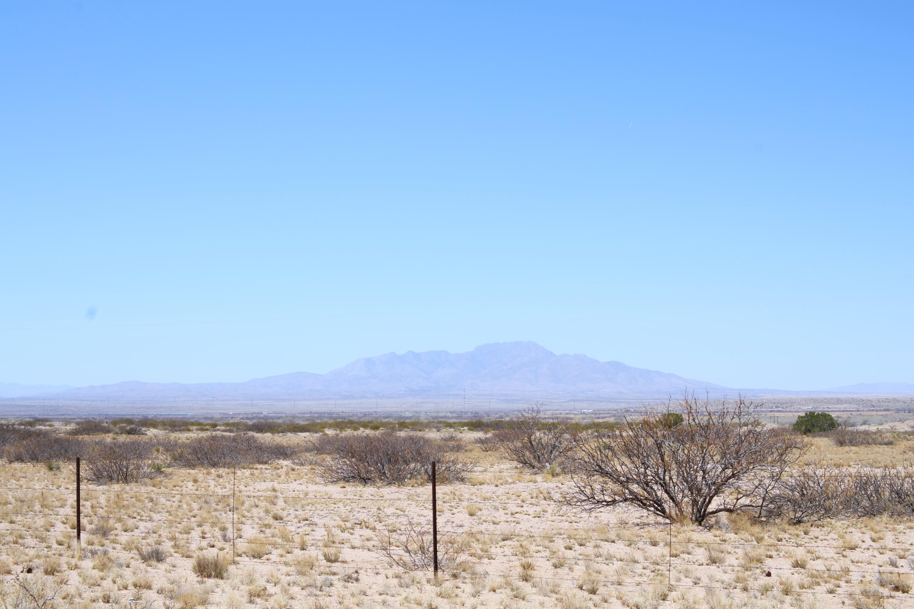 Lot 53