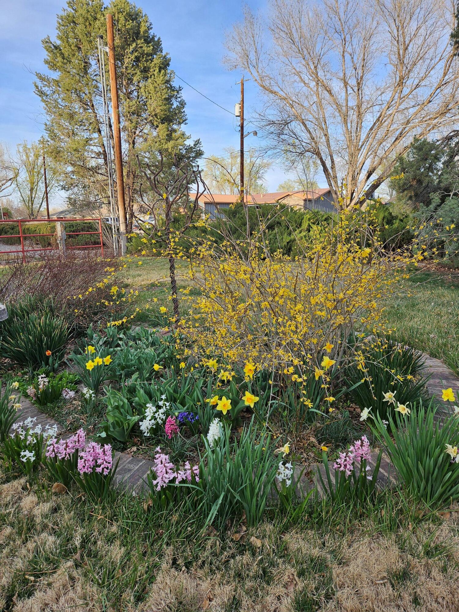 1025 Green Acres Lane