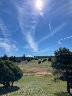 63 Private Drive 1796