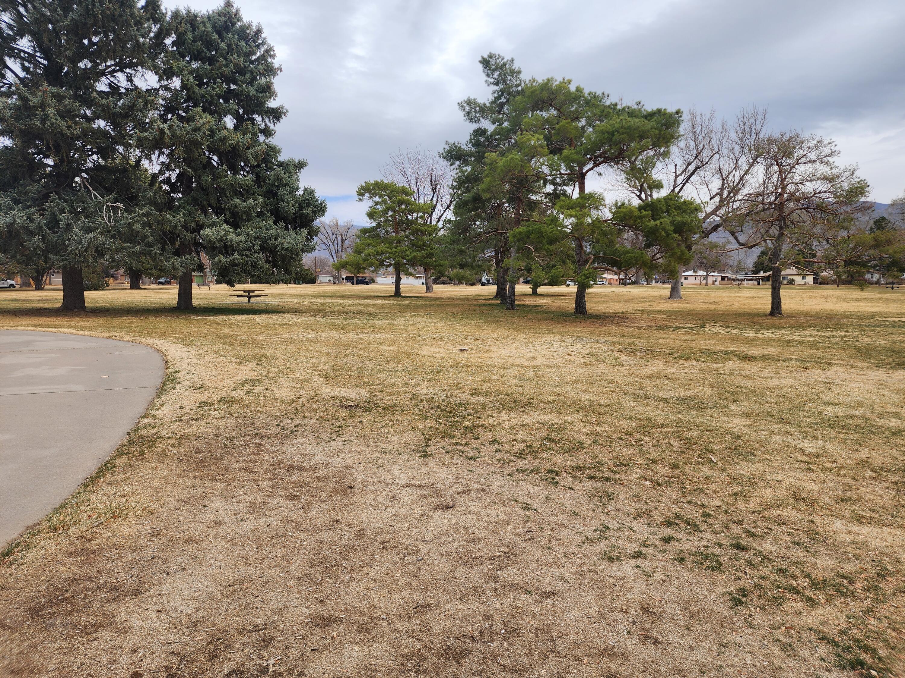 8703 WOODLAND Avenue NE