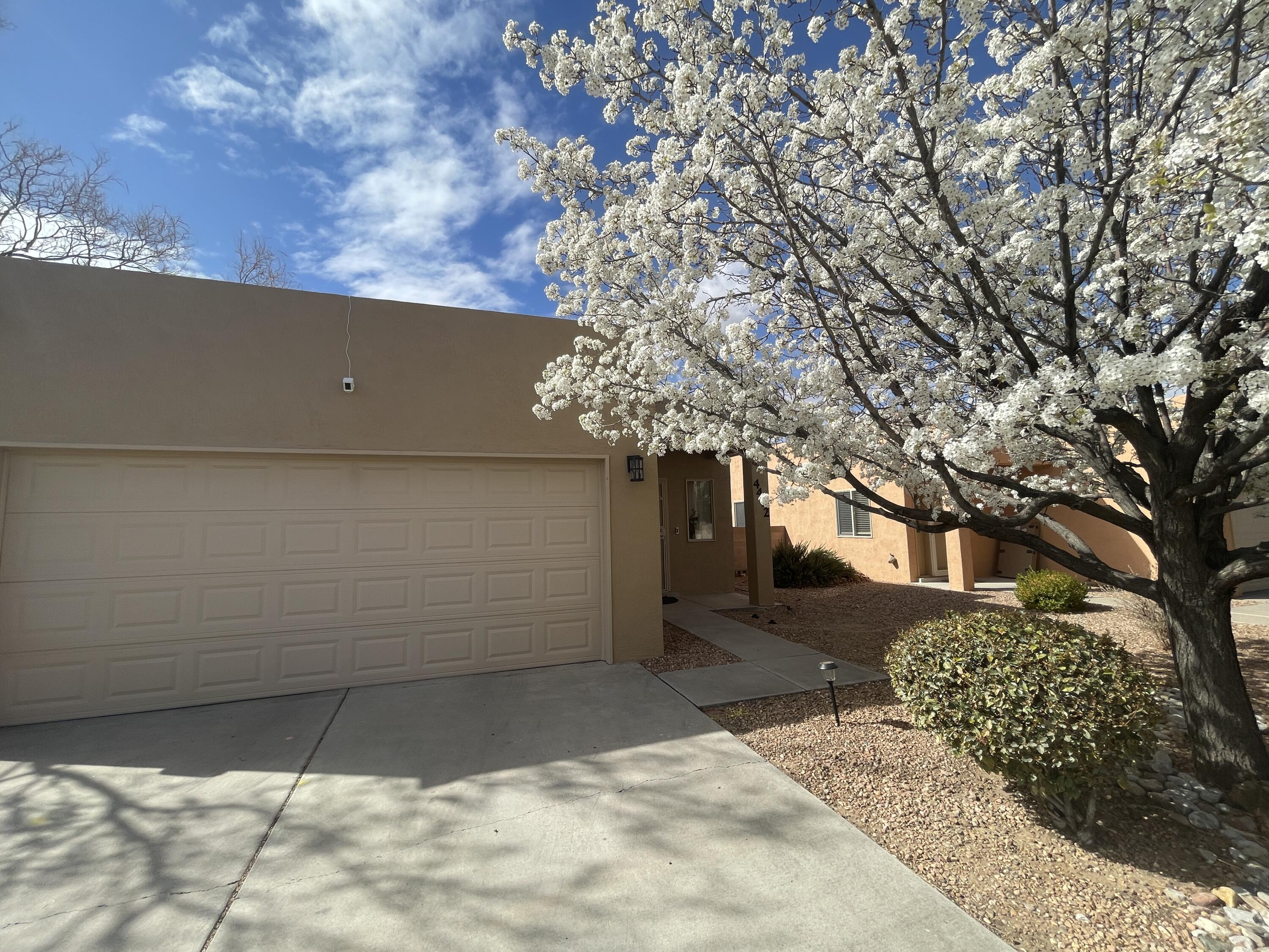 4412 DESERT CHICORY Court SE