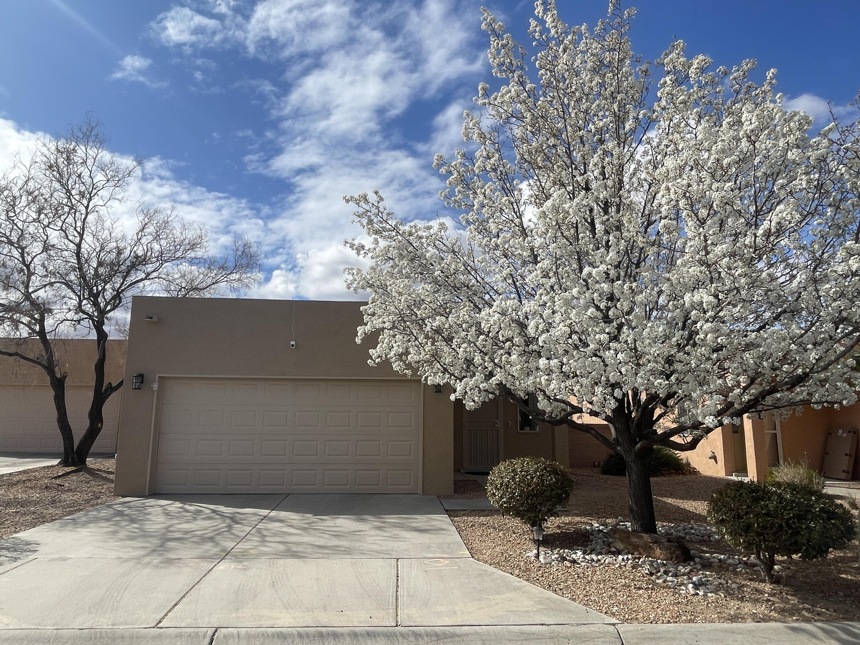 4412 DESERT CHICORY Court SE